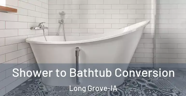 inner Bathroom imggen Shower to Bathtub Conversion Long Grove-IA