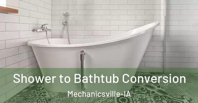 inner Bathroom imggen Shower to Bathtub Conversion Mechanicsville-IA