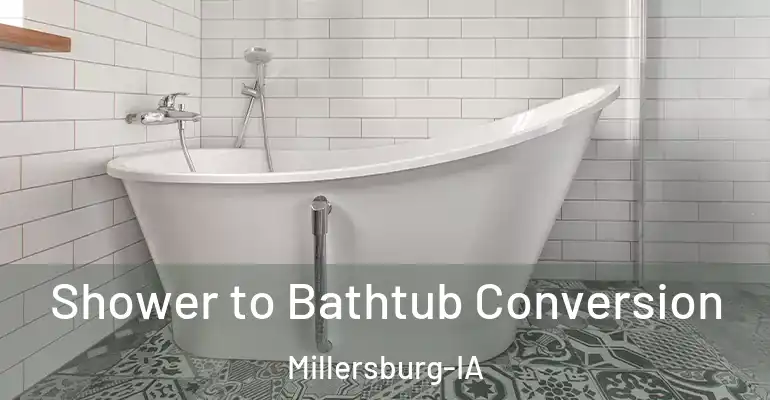 inner Bathroom imggen Shower to Bathtub Conversion Millersburg-IA
