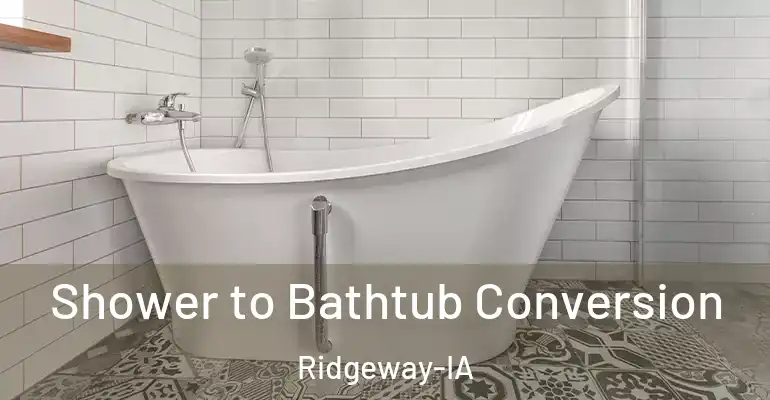 inner Bathroom imggen Shower to Bathtub Conversion Ridgeway-IA