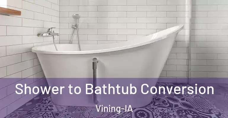 inner Bathroom imggen Shower to Bathtub Conversion Vining-IA