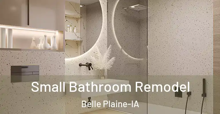 inner Bathroom imggen Small Bathroom Remodel Belle Plaine-IA