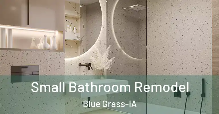 inner Bathroom imggen Small Bathroom Remodel Blue Grass-IA