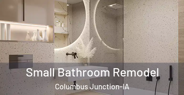 inner Bathroom imggen Small Bathroom Remodel Columbus Junction-IA