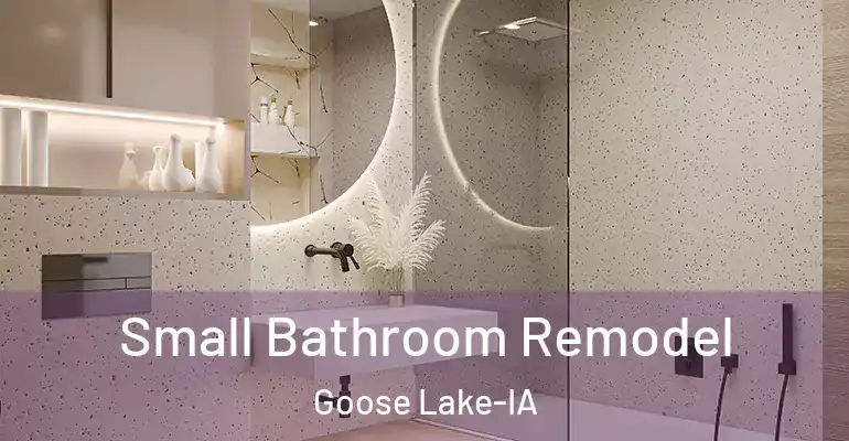 inner Bathroom imggen Small Bathroom Remodel Goose Lake-IA