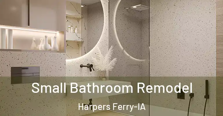 inner Bathroom imggen Small Bathroom Remodel Harpers Ferry-IA