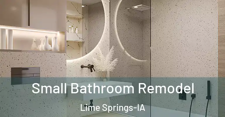inner Bathroom imggen Small Bathroom Remodel Lime Springs-IA