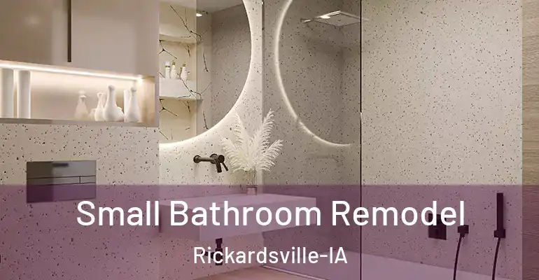 inner Bathroom imggen Small Bathroom Remodel Rickardsville-IA