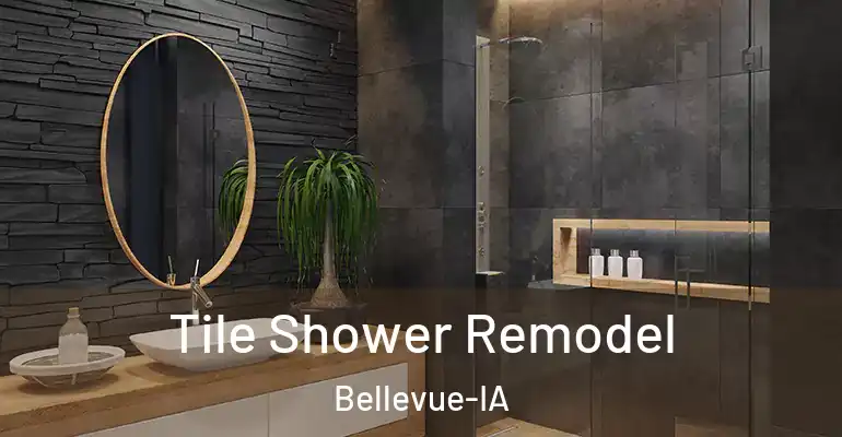 inner Bathroom imggen Tile Shower Remodel Bellevue-IA