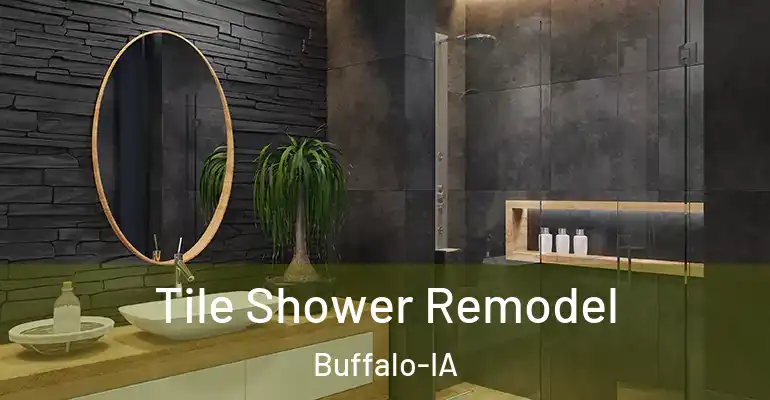 inner Bathroom imggen Tile Shower Remodel Buffalo-IA