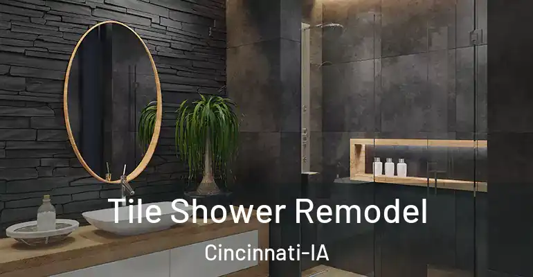 inner Bathroom imggen Tile Shower Remodel Cincinnati-IA