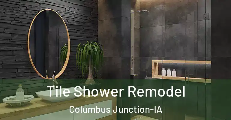 inner Bathroom imggen Tile Shower Remodel Columbus Junction-IA
