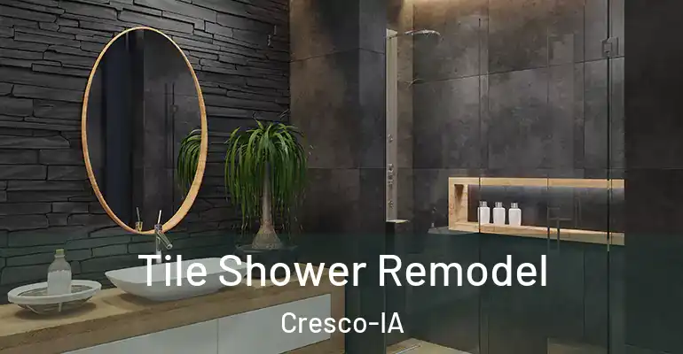 inner Bathroom imggen Tile Shower Remodel Cresco-IA