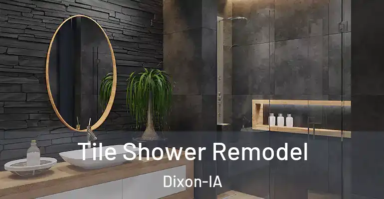 inner Bathroom imggen Tile Shower Remodel Dixon-IA
