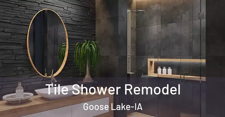 inner Bathroom imggen Tile Shower Remodel Goose Lake-IA