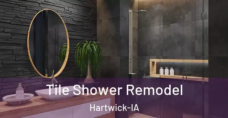 inner Bathroom imggen Tile Shower Remodel Hartwick-IA