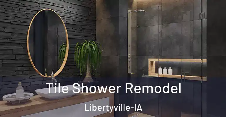 inner Bathroom imggen Tile Shower Remodel Libertyville-IA