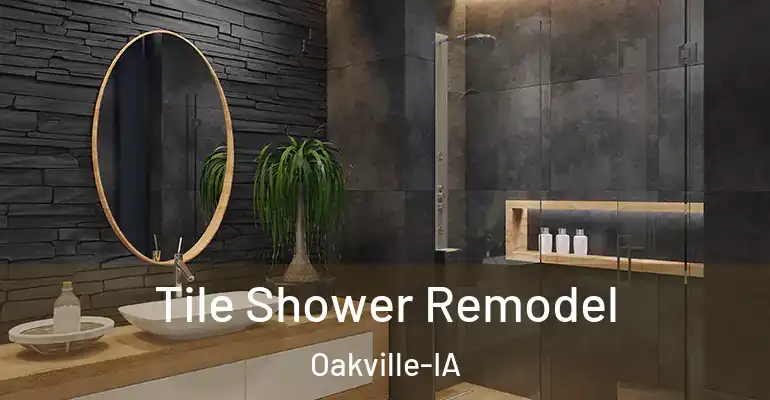 inner Bathroom imggen Tile Shower Remodel Oakville-IA