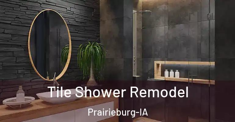 inner Bathroom imggen Tile Shower Remodel Prairieburg-IA