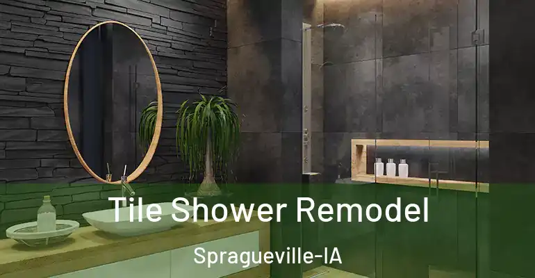 inner Bathroom imggen Tile Shower Remodel Spragueville-IA