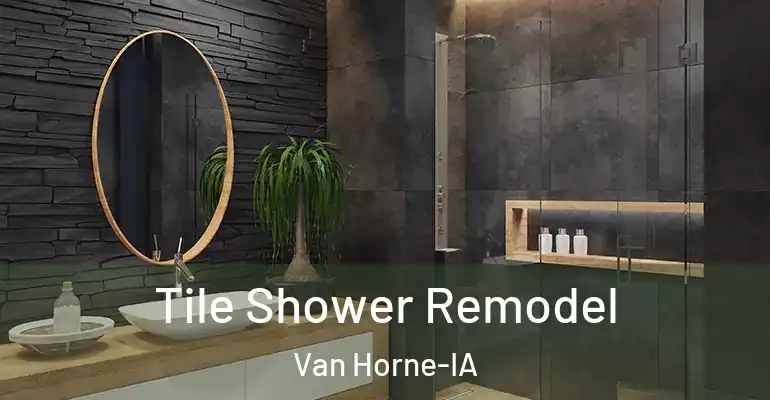 inner Bathroom imggen Tile Shower Remodel Van Horne-IA