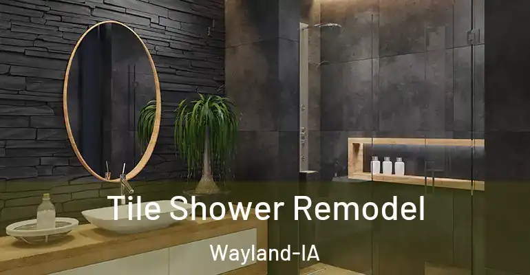 inner Bathroom imggen Tile Shower Remodel Wayland-IA