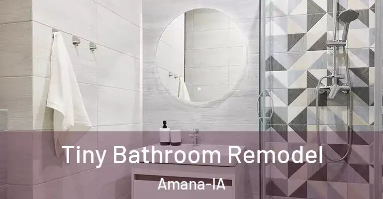 inner Bathroom imggen Tiny Bathroom Remodel Amana-IA