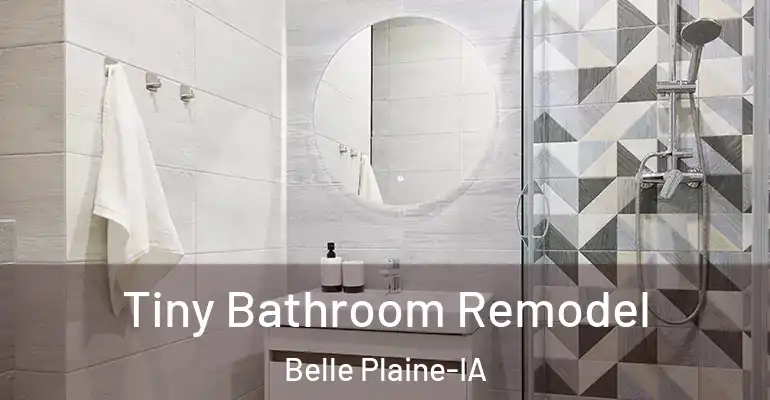 inner Bathroom imggen Tiny Bathroom Remodel Belle Plaine-IA