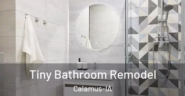 inner Bathroom imggen Tiny Bathroom Remodel Calamus-IA