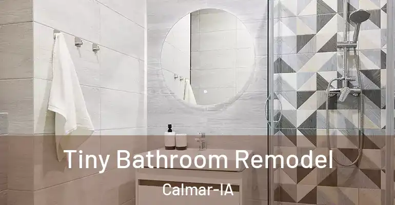 inner Bathroom imggen Tiny Bathroom Remodel Calmar-IA