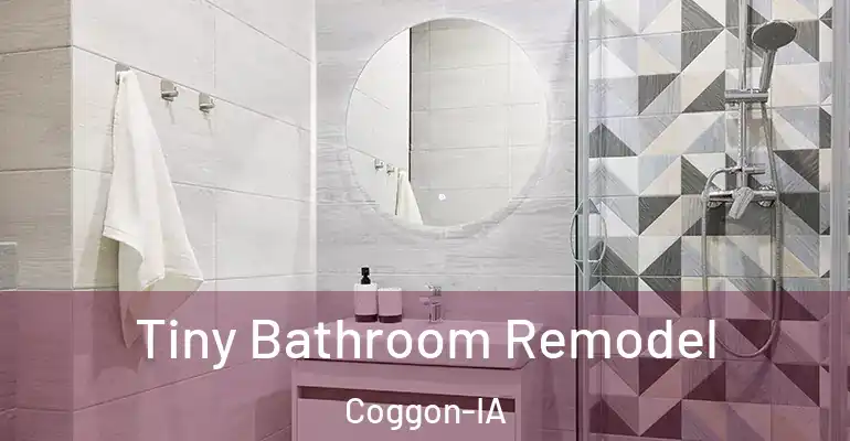 inner Bathroom imggen Tiny Bathroom Remodel Coggon-IA