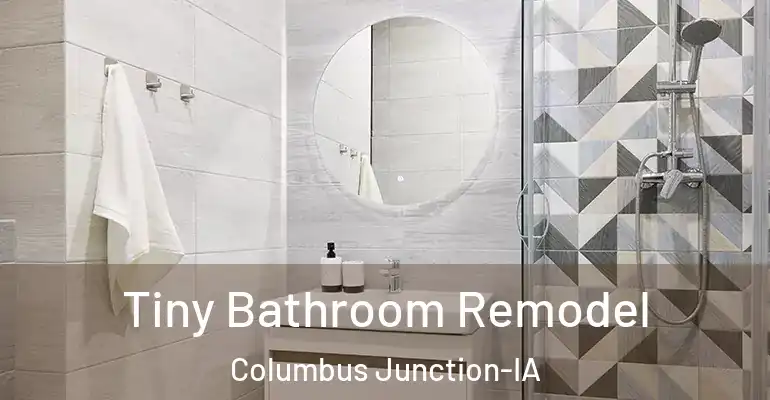inner Bathroom imggen Tiny Bathroom Remodel Columbus Junction-IA
