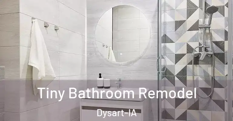 inner Bathroom imggen Tiny Bathroom Remodel Dysart-IA