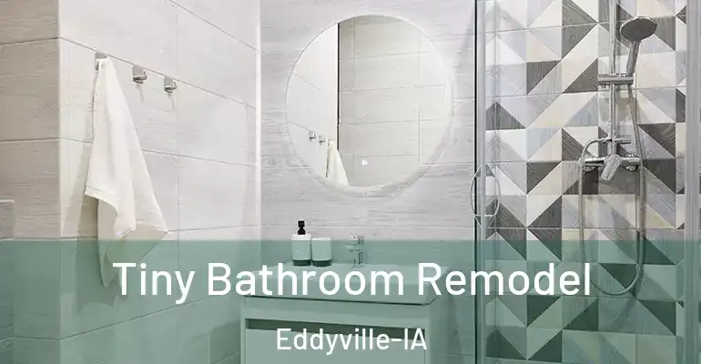 inner Bathroom imggen Tiny Bathroom Remodel Eddyville-IA