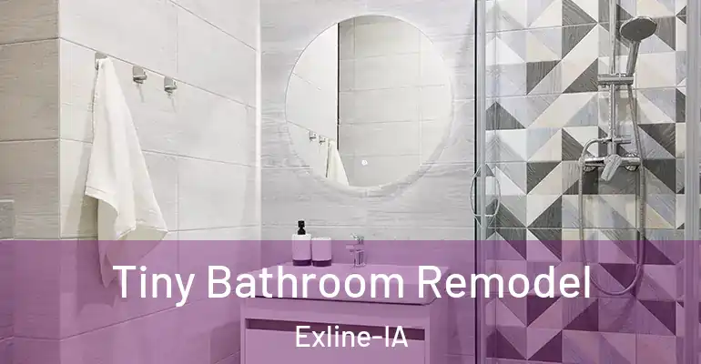 inner Bathroom imggen Tiny Bathroom Remodel Exline-IA