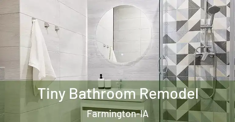 inner Bathroom imggen Tiny Bathroom Remodel Farmington-IA