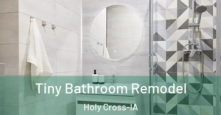 inner Bathroom imggen Tiny Bathroom Remodel Holy Cross-IA