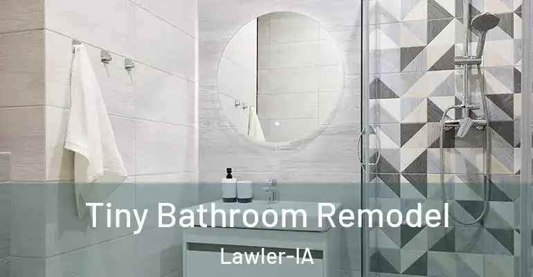 inner Bathroom imggen Tiny Bathroom Remodel Lawler-IA