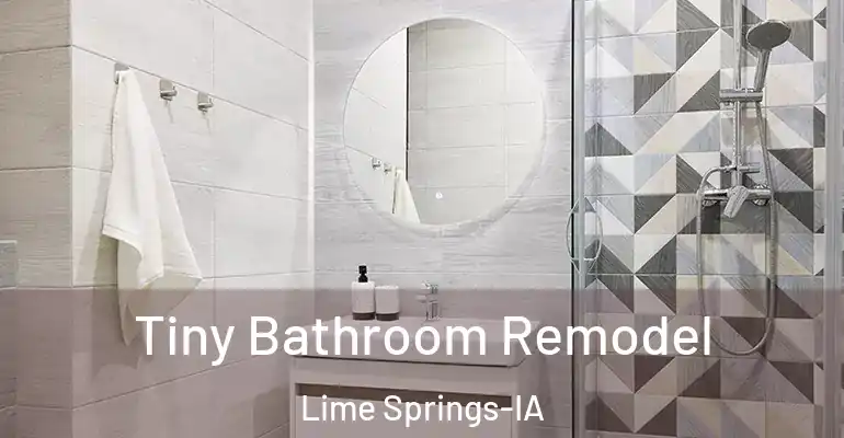 inner Bathroom imggen Tiny Bathroom Remodel Lime Springs-IA