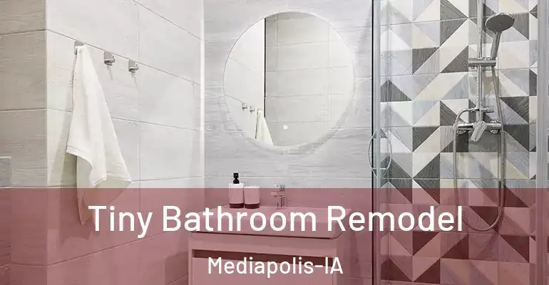 inner Bathroom imggen Tiny Bathroom Remodel Mediapolis-IA