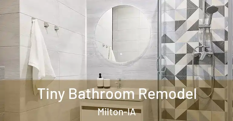 inner Bathroom imggen Tiny Bathroom Remodel Milton-IA