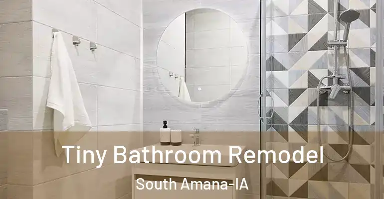 inner Bathroom imggen Tiny Bathroom Remodel South Amana-IA