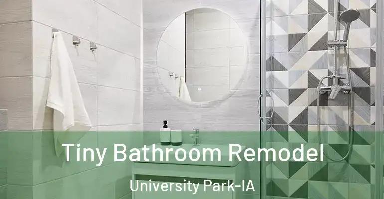 inner Bathroom imggen Tiny Bathroom Remodel University Park-IA