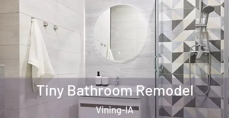 inner Bathroom imggen Tiny Bathroom Remodel Vining-IA