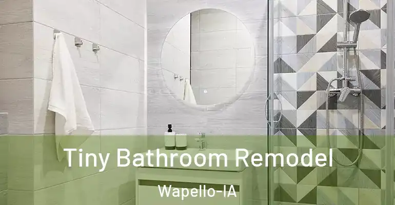 inner Bathroom imggen Tiny Bathroom Remodel Wapello-IA