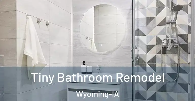 inner Bathroom imggen Tiny Bathroom Remodel Wyoming-IA
