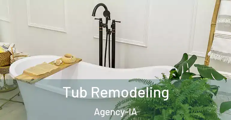 inner Bathroom imggen Tub Remodeling Agency-IA