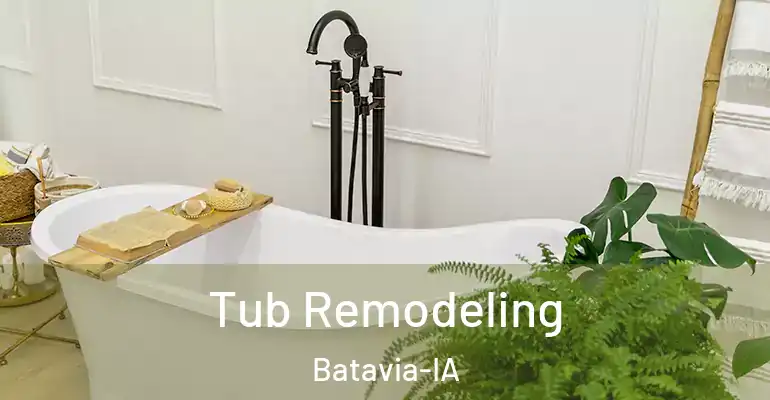 inner Bathroom imggen Tub Remodeling Batavia-IA