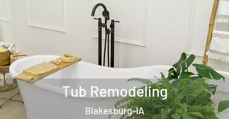inner Bathroom imggen Tub Remodeling Blakesburg-IA