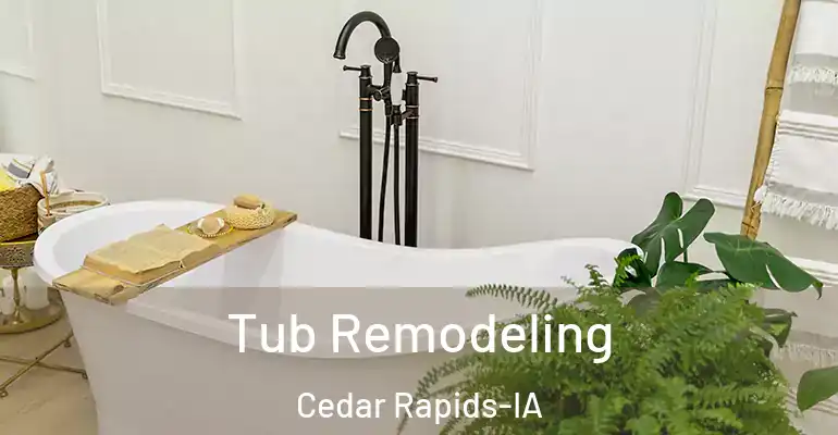 inner Bathroom imggen Tub Remodeling Cedar Rapids-IA